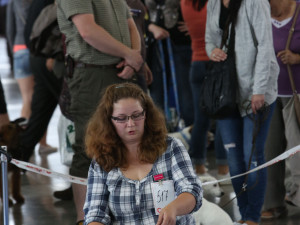 Brněnským výstavištěm se rozlehne psí štěkot