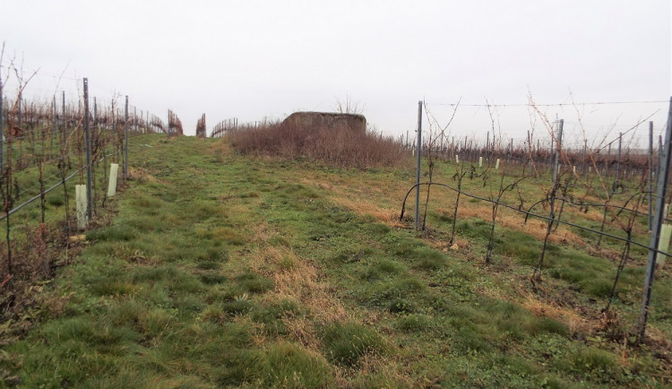 Lehké opevnění Sedlec u Mikulova