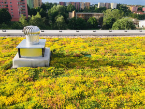 Jak vypadá zelený experiment na střeše brněnské betonové džungle? Podívejte se na fotky v článku