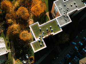 Jak vypadá zelený experiment na střeše brněnské betonové džungle? Podívejte se na fotky v článku