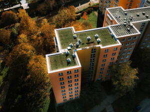 Jak vypadá zelený experiment na střeše brněnské betonové džungle? Podívejte se na fotky v článku