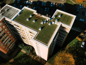 Jak vypadá zelený experiment na střeše brněnské betonové džungle? Podívejte se na fotky v článku