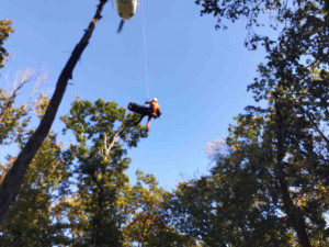 Mladá dívka na Brněnsku se vážně zranila po pádu z koně
