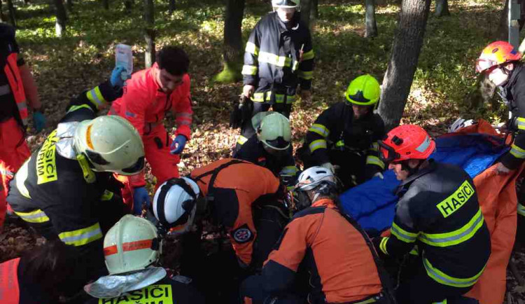 Mladá dívka na Brněnsku se vážně zranila po pádu z koně