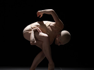 COPYRIGHT 2021 GHERCIU SERGHEI ALL RIGHT RESERVED