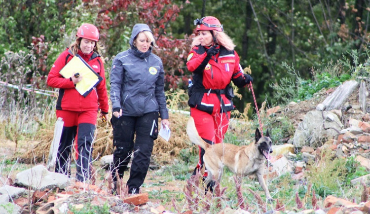 Ilustrační foto. 39. ročník mistrovství záchranných psů Svazu brigád kynologů České republiky