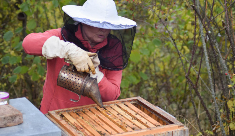 Jindra Španihelová vykřuje včely