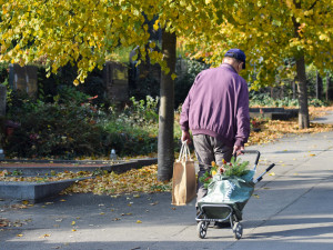 Sváteční řidiči i kapsáři. Policisté v Brně nasadí při Dušičkách do akce desítky hlídek