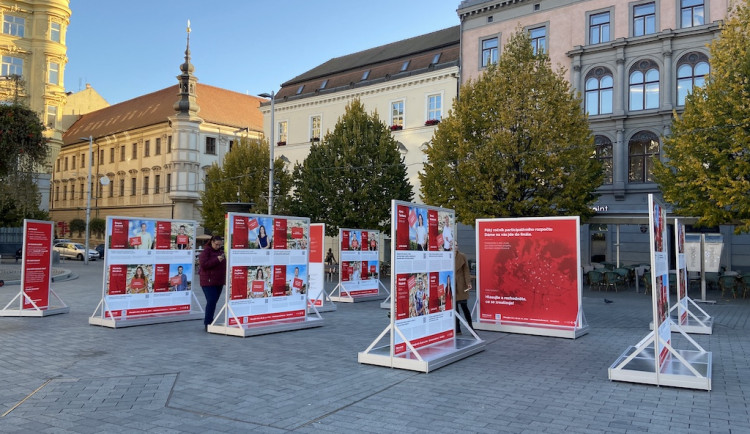 Hlasování v Dáme na vás probíhá po celý listopad 