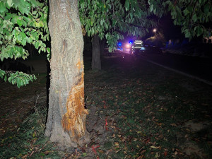 Mladý řidič v rychlosti nevybral zatáčku. Tragicky zahynul při nárazu do stromu