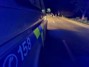 Mladý řidič v rychlosti nevybral zatáčku. Tragicky zahynul při nárazu do stromu