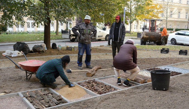 Rehabilitační chodník.