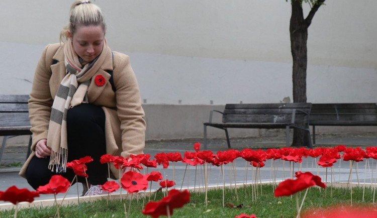 Brno vzpomíná na válečné veterány. V centru vzniklo pole vlčích máků