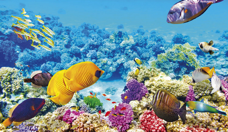 Brnenska.drbna.cz - Z Brna k moři jednoduše1