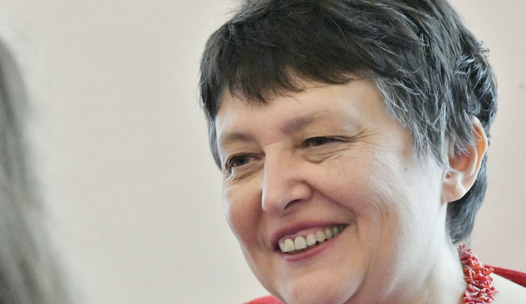 Džamila Stehlíková 