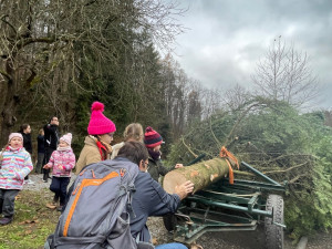 Do Brna jedou koně, vezou vánoční strom