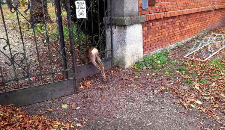 257581421_4017844824984117_8189619612012615100_n