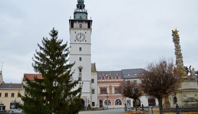 Adventu ve Vyškově bude dominovat smrk ztepilý i rozšířený betlém