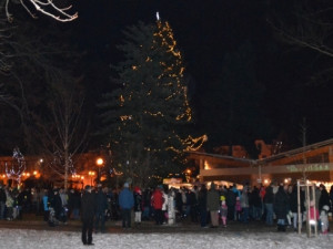 Břeclavský vánoční strom