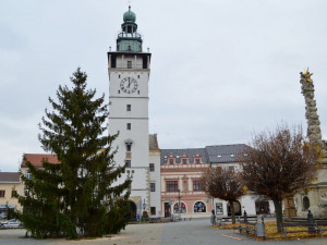 Vyškovský vánoční strom