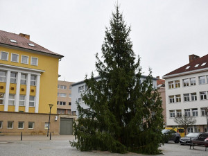 Jihomoravská města už zdobí vánoční stromy. Slavnostní rozsvícení ale většina ruší
