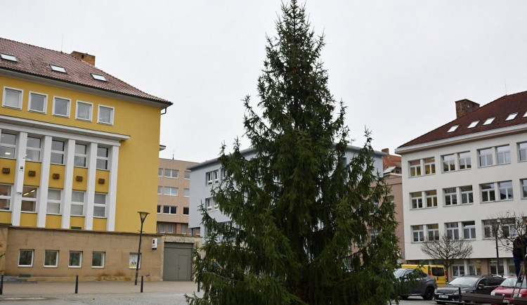 Blanenský vánoční strom