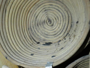 Pekárna na Brněnsku, ve které žili myši a potkani, má utrum