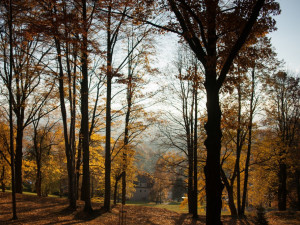 Díky práci u Policie získal obecní byt ve Zlatých Horách na Jesenicku. Mám výbornou a stabilní práci v krásném prostředí hor, říká mladý policista Radek Hlavsa