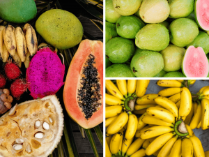 Exotické chutě z dalekých krajin míří na jižní Moravu