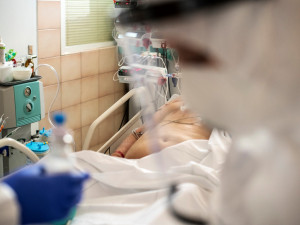 Jihomoravské nemocnice nepoužívají rekonvalescentní plazmu u covid pacientů