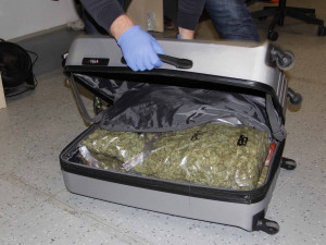Muž v Brně dal do úschovny kufr nacpaný marihuanou. Drogu prozradil zápach