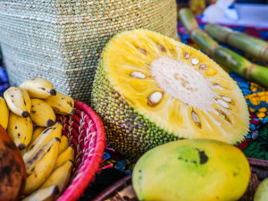 Vědci z Brna chtějí, aby farmáři v Asii šetrně pěstovali mango
