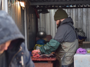 Do Brna připluli vánoční kapři, lidé si za rybu letos připlatí