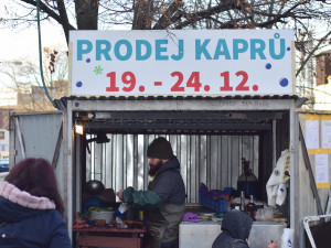 Do Brna připluli vánoční kapři, lidé si za rybu letos připlatí