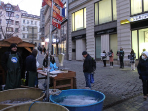 Aktivisté v Brně se chovali jako kapři