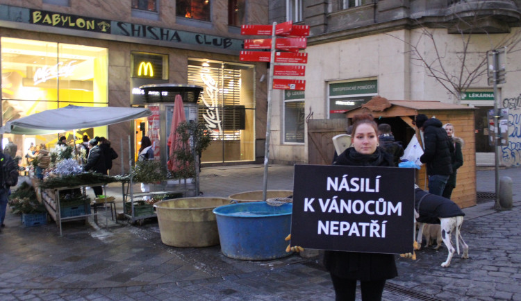 Aktivisté v Brně se chovali jako kapři