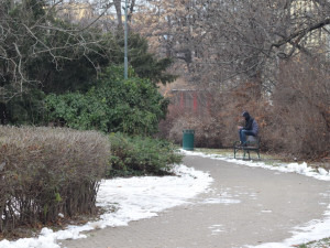 V Brně chtějí vdechnout nový život parku Koliště