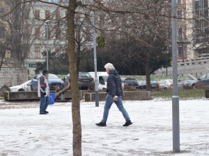 V Brně chtějí vdechnout nový život parku Koliště