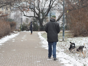 V Brně chtějí vdechnout nový život parku Koliště