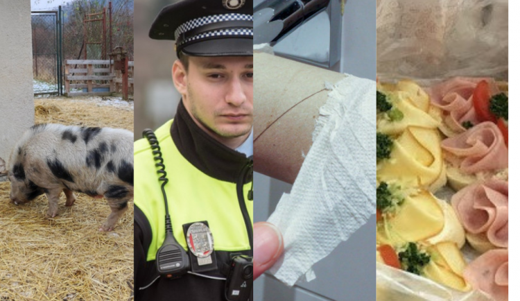 Top brněnský bizár roku 2021. Připomeňte si největší kuriozity, které se udály v Brně a okolí