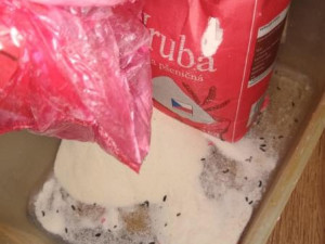 Inspekce zavřela známý jihomoravský motorest, byl plný myší