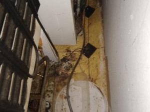 Inspekce zavřela známý jihomoravský motorest, byl plný myší