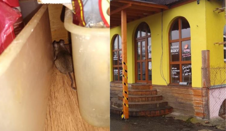 Inspekce zavřela známý jihomoravský motorest, byl plný myší