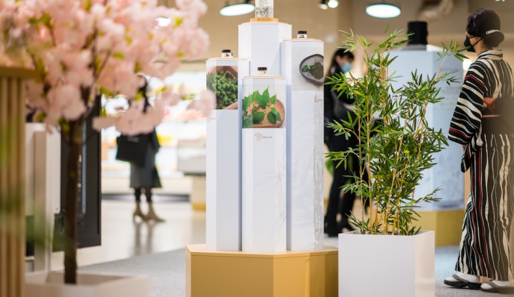 Hugo Boss, C&A, Tchibo… Brňáci nechávají vyniknout světové značky 