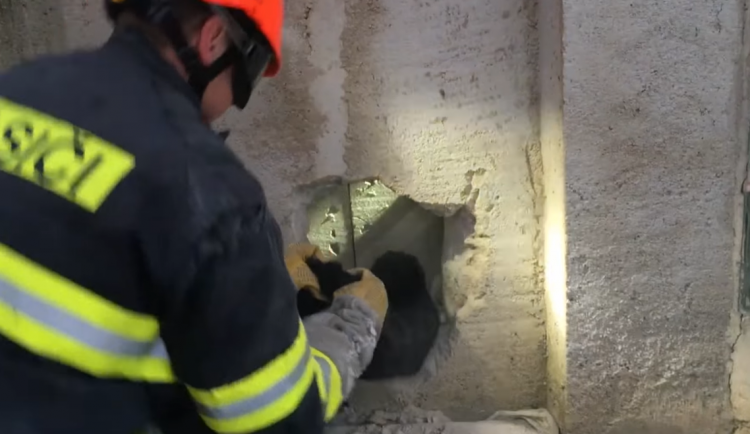 Záchrana kočky v Moravanech.