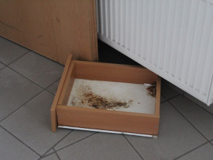 Chodba domu na Tržní