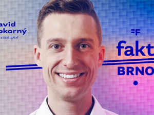 Osobitým vizuálním stylem chce hnutí uspět u mladých voličů.