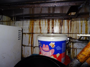 Potravinářská inspekce uzavřela v lednu kvůli hygieně rekordní počet provozů