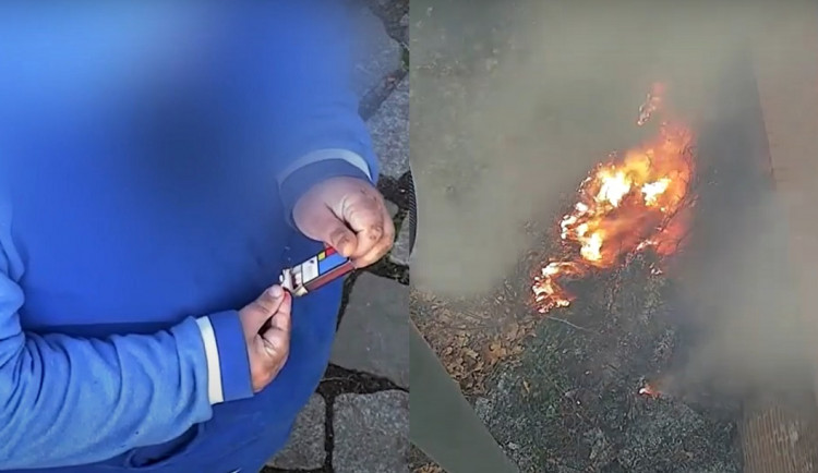 BeFunky-collage (17)