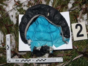 Brutální napadení na Vyškovsku. Agresor zmlátil muže a poštval proti němu psa